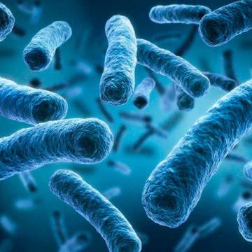 tratamiento de la legionella tratamiento de la legionella