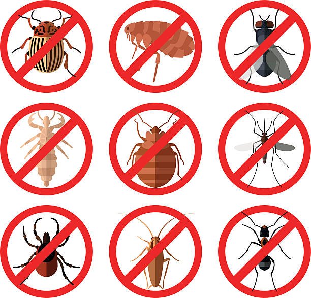 insectos Soluciones Ambientales